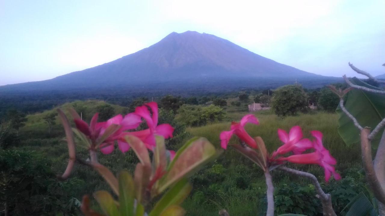Khrisna Sunrise Homestay Tulamben Екстер'єр фото